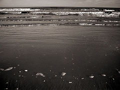 Sea Isle Surfline